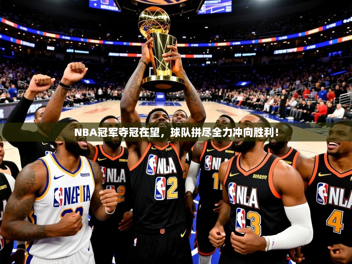 2025ued体育网页版登陆NBA冠军夺冠在望，球队拼尽全力冲向胜利！