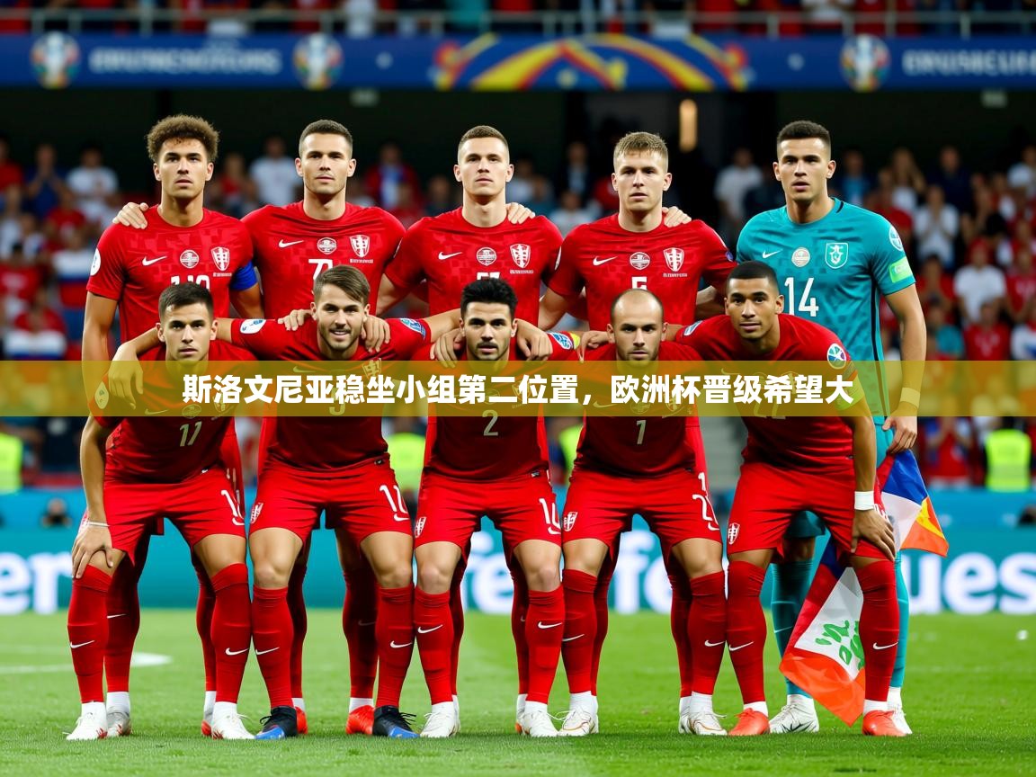 2025ued体育下载斯洛文尼亚稳坐小组第二位置,欧洲杯晋级希望大  第4张