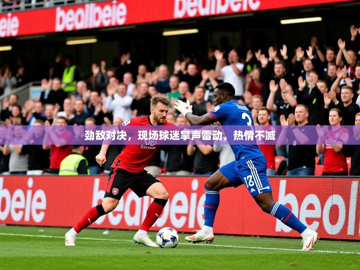 2025ued体育下载劲敌对决,现场球迷掌声雷动,热情不减  第4张