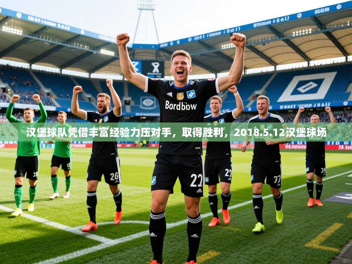 2025ued体育入口汉堡球队凭借丰富经验力压对手,取得胜利,2018.5.12汉堡球场 第4张